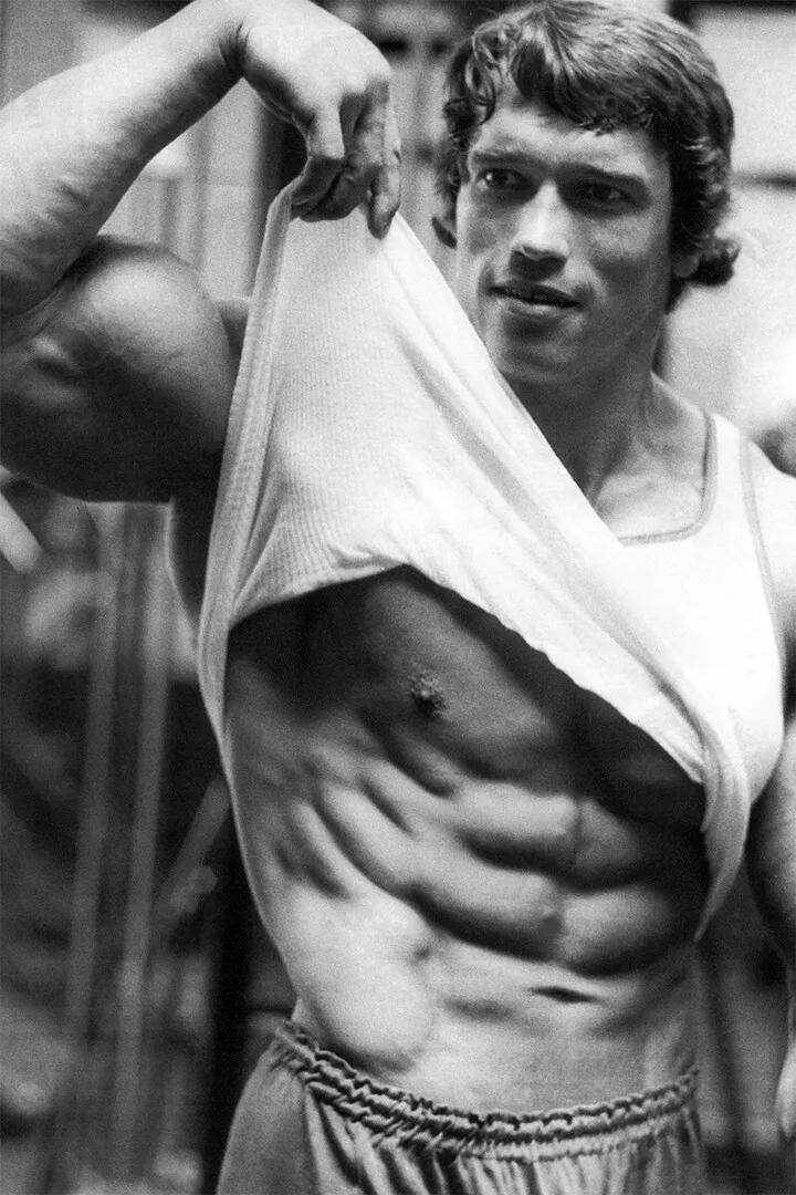 Arnold Schwarzenegger Kutipan  - Home Gym Quotes ulasan dan harga