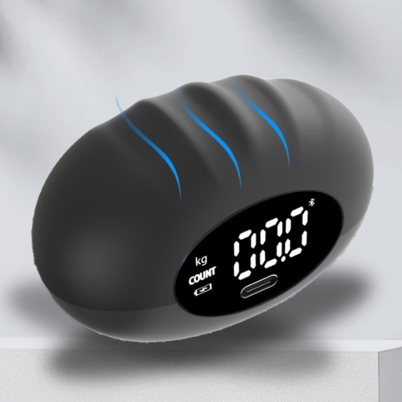 Dinamometer Tangan Digital Erg - Home Gym Ideas ulasan dan harga