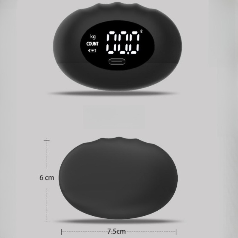 Dinamometer Tangan Digital Erg - Home Gym Ideas ulasan dan harga